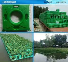江蘇人工生態(tài)浮島與廊坊聚格塑料制品廠戶(hù)外地板應(yīng)用圖解